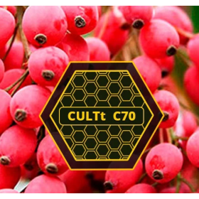 Табак CULTT C70 Barberry (Культт Барбарис) 100 грамм Felix Shop