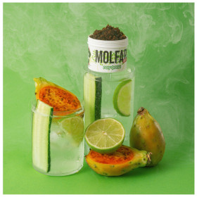 Табак Molfar Virginia Line Гоу Фреш (Лимонад Огурец Кактус Лайм) 100 гр Felix Shop