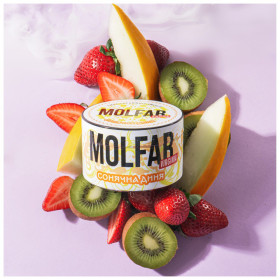 Табак Molfar Virginia Line Сонячна Диня (Дыня Киви Клубника) 100 гр Felix Shop