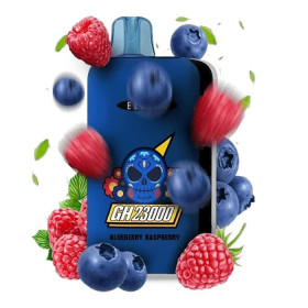 Электронная сигарета Elf Bar GH23000 Blueberry Raspberry Ice (Черника Малина Лед) Felix Shop