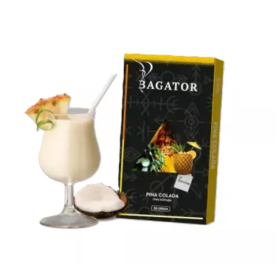 Безтабачная смесь Bagator Pina Colada (Пина колада) 50гр Felix Shop