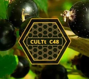 Табак CULTT C48 Black Currant (Культт Черная Смородина) 100 грамм Felix Shop