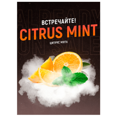 Табак 4:20 Citrus Mint (Цитрус Мята) 100 грамм Felix Shop