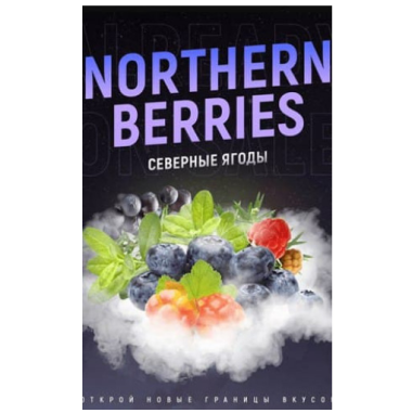 Табак 4:20 Northern Berries (Северные ягоды) 100 грамм Felix Shop