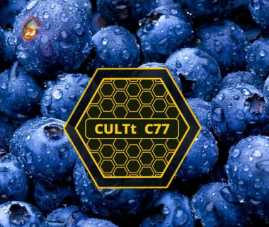 Табак CULTT C77 Sweet Blueberry (Культт Сладкая Черника) 100 грамм Felix Shop